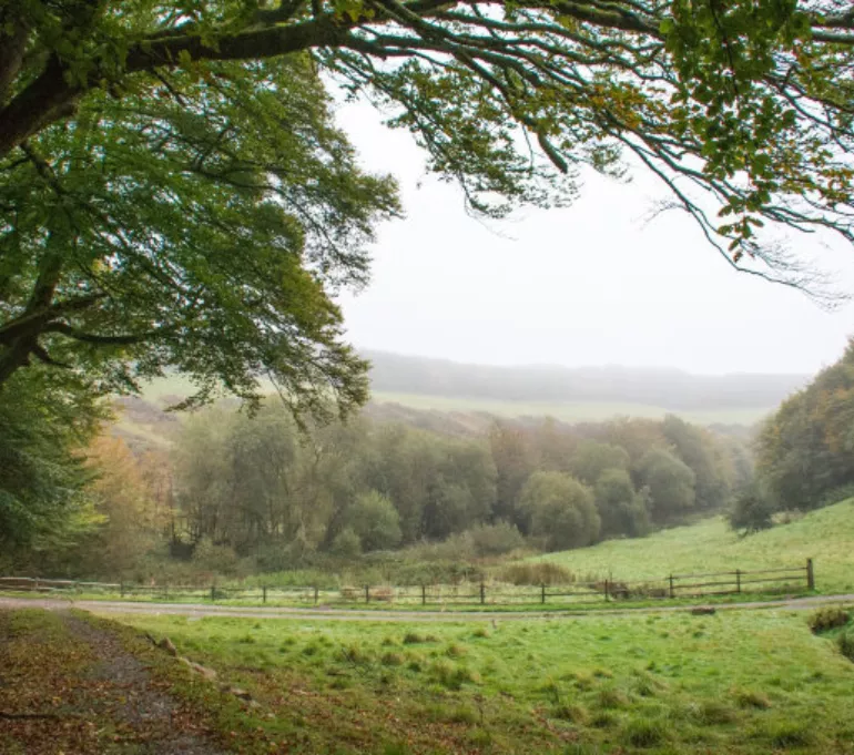 <p>Working With Nature</p> - Sustainability on the Farm