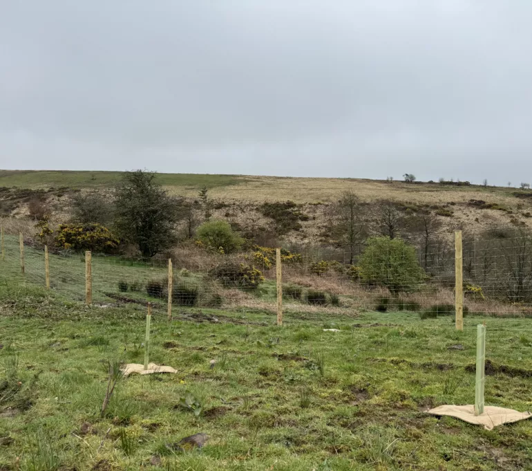Wellshead Natural Capital - For Farmers